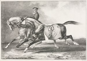 Kaksi kirjavaa hevosta harjoittelemassa tekijältä Theodore Gericault