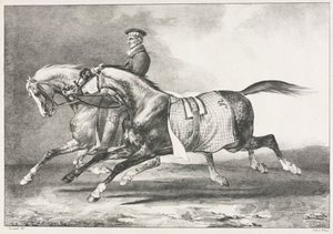 Kaksi kirjavaa hevosta harjoittelemassa, 1822. tekijältä Theodore Gericault