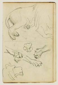 Erilaisia tutkimuksia leijonan jalasta, tassuista ja päästä tekijältä Theodore Gericault