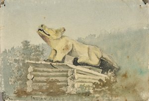 Intiaanihauta. Susi-totemi lääkintämiehen haudan yllä, Wrangell tekijältä Theodore J. Richardson