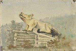 Intian hauta. Wolf Totem yli Medicine Man Graven, Wrangell, ca. 1880-1914.