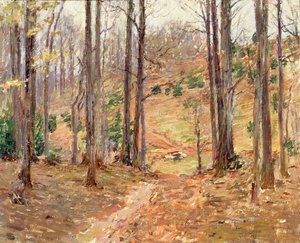 Virginia Woods, 1893 tekijältä Theodore Robinson