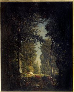 Avenue, Isle Adamin metsä. Theodore Rousseaun (1812-1867) maalaus