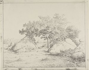 Kirsikkapuu Plante à Biaussa tekijältä Theodore Rousseau