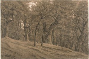Fontainbleaun metsässä tekijältä Theodore Rousseau