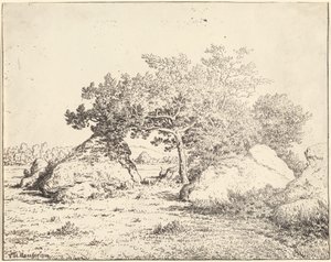 Biaun kasvin kirsikkapuu tekijältä Theodore Rousseau