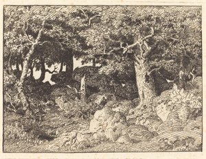 Rock Oaks tekijältä Theodore Rousseau