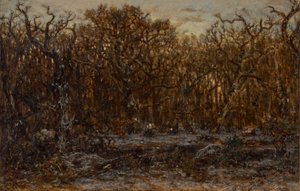 Metsä auringonlaskun aikaan talvella