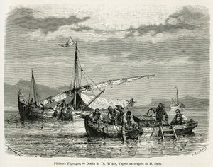Sienikalastajat Nafplionlahdella, piirros The. Weber havainnollistaa tarinaa Kreikan matkasta vuosina 1861, 1868 ja 1874, kirjoittanut Henri Belle. Kaiverrus kirjassa Le tour du monde