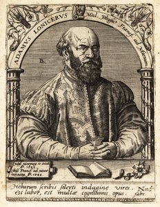 Adam Lonicer tai Lonitzer tekijältä Theodore de Bry