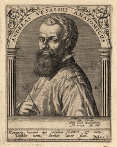 Andreas Vesalius, flaamilainen lääkäri, anatomi tekijältä Theodore de Bry