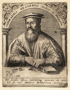 Conrad Gessner, sveitsiläinen lääkäri tekijältä Theodore de Bry