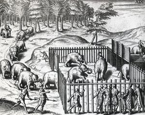 Elefantin metsästys Pegun valtakunnassa, nykyisessä Myanmarissa, Theodor de Bry (1528-1598), kaiverrus tekijältä Theodore de Bry