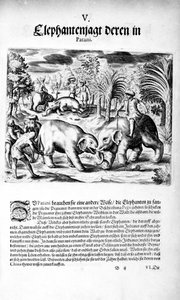 Elefanttien taistelu, 1606 tekijältä Theodore de Bry