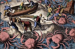 Eurooppalaiset navigaattorit taistelevat isorapua vastaan. Kaiverrus Theodore de Bryn teoksesta "Petities voyages aux Indes Orientales" tekijältä Theodore de Bry