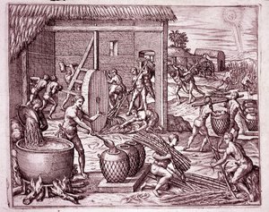 Amerikan historia: Espanjan valloittajille työskentelevien intialaisten orjien sokeriruo
