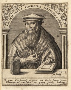 Leonhart Fuchs, saksalainen lääkäri ja kasvitieteilijä 1501-1566. tekijältä Theodore de Bry