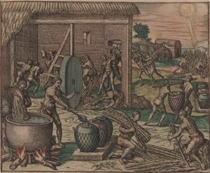 Orjat jalostavat sokeriruokoa ja valmistavat sokeria, 1595. tekijältä Theodore de Bry