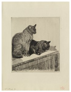 Kaksi kissaa huonekalun päällä tekijältä Théophile Alexandre Steinlen