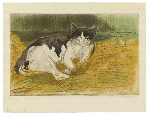 Vanha mustavalkoinen kissa nurmikolla tekijältä Théophile Alexandre Steinlen