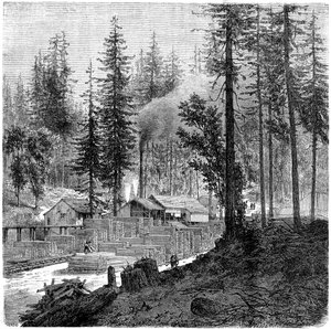 "Sawmill", Kalifornia, 1800-luku. tekijältä Theroud