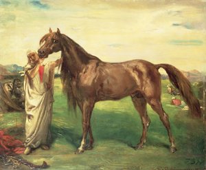 Hadji, arabialainen ori, 1853 tekijältä Théodore Chassériau