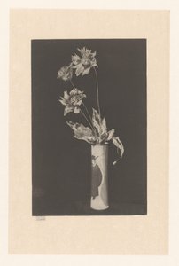 Kukkia maljakossa kiinalaisilla kuvioilla La Kiinassa tekijältä Théodore Roussel (signed by artist)