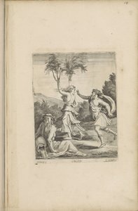 Apollo Daphnessa