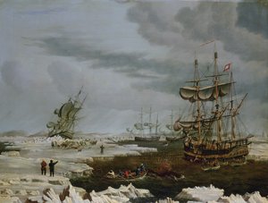 Rungon valaanpyytäjät arktisella alueella tekijältä Thomas A. Binks