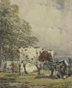Tutkimus karjasta, 1800-luku