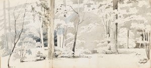 Puiden ympäröimä lehtimaja (etusivu) tekijältä Thomas Baxter