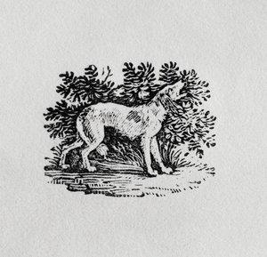 Koira "Nelijalkaisten historiasta", 1800-luku tekijältä Thomas Bewick