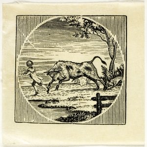 Kirjan kuvitus tekijältä Thomas Bewick