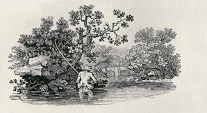 Lohen pelaaminen elokuvasta Historia of British Birds and Quadrupeds tekijältä Thomas Bewick