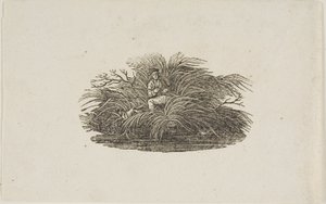 Takakappale: Mies Bushissa tekijältä Thomas Bewick