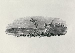 Winter Sunset teoksesta "History of British Birds and Quadrupeds" (bw-kaiverrus) tekijältä Thomas Bewick