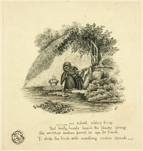 ...sinä lesken yksinäinen asia... tekijältä Thomas Bewick
