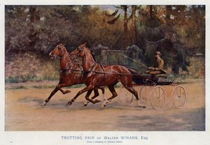 Walter Winansin ravipari, Esquire