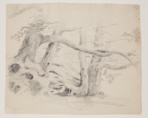 Tammi- ja Hemlock-puut (kynä paperille) tekijältä Thomas Cole