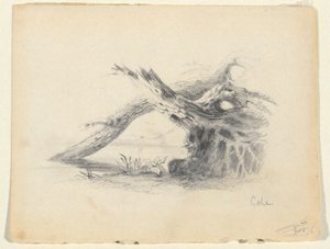 Luonnos kahdesta kuolleesta puusta tekijältä Thomas Cole