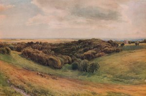 Arundel Park, 1874 tekijältä Thomas Collier