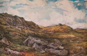 Blythburgh Common, 1888 tekijältä Thomas Collier