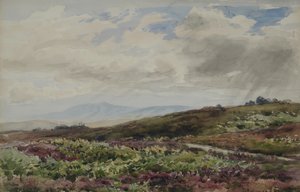Katse kohti Chanctonburya, West Sussex tekijältä Thomas Collier