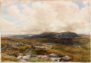 Moorland Scene (lyijykynä)