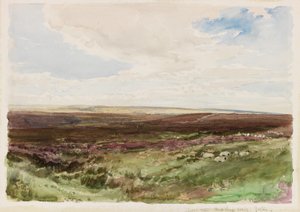 Moorland lähellä Hart Leap Welliä, Yorkshire (akvarelli paperille) tekijältä Thomas Collier