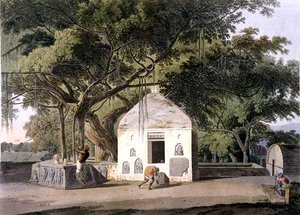 Hindujen pyhä puu Gyahissa, Baharissa, elokuvasta Oriental Scenery: Twenty Four Views in Hindoostan tekijältä Thomas Daniell