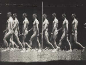[Man Walking, Stroboscopic Photograph], 1880-luku, painettu 1930-40-luku, 1880-luku, painettu 1930-40-luku. tekijältä Thomas Eakins