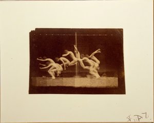 Marey Wheelin valokuvat tunnistamattomasta mallista, 1884. tekijältä Thomas Eakins