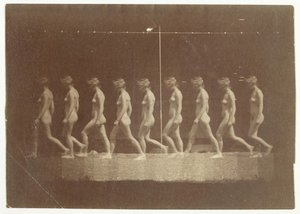 Marey Wheelin valokuvat tunnistamattomasta mallista, 1884. tekijältä Thomas Eakins
