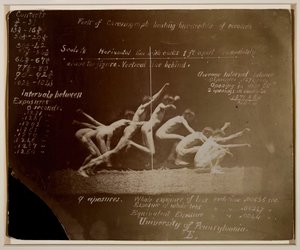 Marey Wheelin valokuvat tunnistamattomasta mallista, Eadweard Muybridge -merkinnöillä, 1884. tekijältä Thomas Eakins